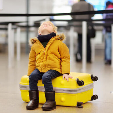 Holiday travel security