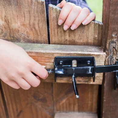 Gate security