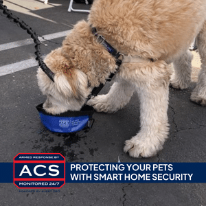 Dog drinking from an ACS Security pet bowl - Protecting Your Pets with Smart Home Security